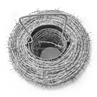 Starke Sicherheit aus Kohlenstoffstahl CBT65 BTO30 BTO-22 Roll Concertina Doppelstrang-Rasierklinge Stacheldraht für langlebige Zäune