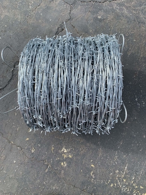 Korrosionsbeständig 450mm Dia Galvanisiertes Stacheldrahtnetz für einziges Rasiersystem und hohen Korrosionsschutz
