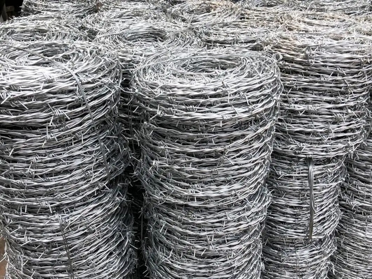 Großer Schutz gewährleistet Galvanisierter Stahldraht Doppelring Rasier Stacheldraht Zaun für die Zucht auf der Autobahn Grenzgrünland
