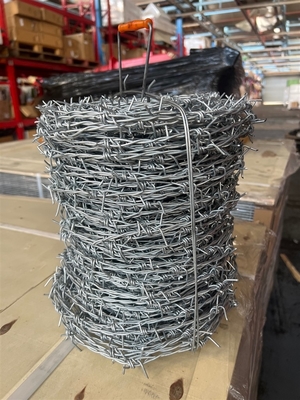 Großer Schutz gewährleistet Galvanisierter Stahldraht Doppelring Rasier Stacheldraht Zaun für die Zucht auf der Autobahn Grenzgrünland