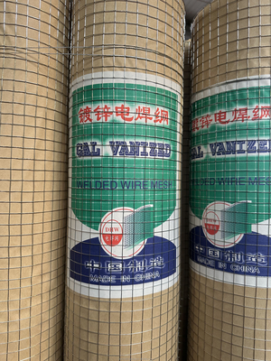 Galvanisierte 60 80mm Stahl Hühnernetz Zaun Farm Dreifach Twist PVC Beschichtet Sechseckdrahtnetz Twill Weave und nach Maß geschnitten