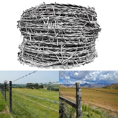 Hot Dip Galvanized Barbed Wire Rolls 50kg Stacheldraht für Rasierer Typ Einziger Rasierer und BSCI-Zertifikat