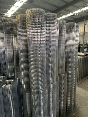 Perforierter Bildschirm 1/2x1 1x1 Hot Dip Galvanized Iron Welded Wire Cloth Mesh / 16 Gauge Elektrogalvanized Square Hole Welded Mesh Rolls