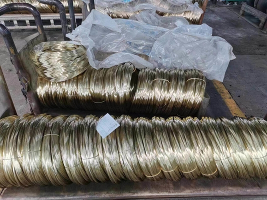 Qualitätssicherung Aisi 316L Edelstahl Schweißdraht Nylon beschichtet Edelstahl Drahtseil